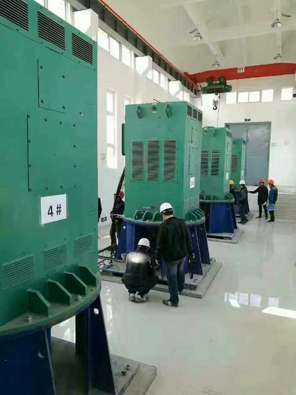 西丰某污水处理厂使用我厂的立式高压电机安装现场